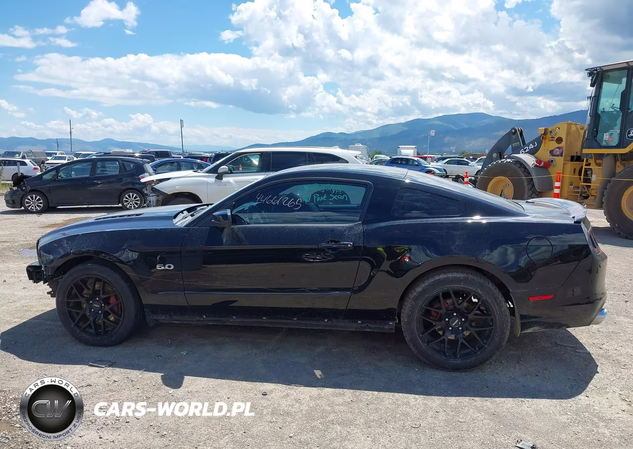 2013 Ford Mustang Gt Premium VIN:1ZVBP8CFXD5218892 - 14