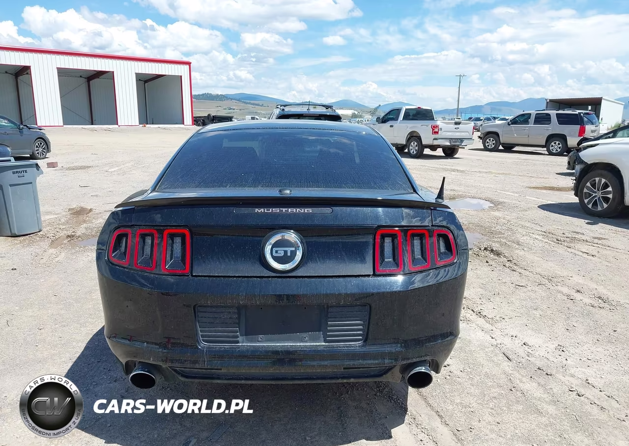 2013 Ford Mustang Gt Premium VIN:1ZVBP8CFXD5218892 - 16