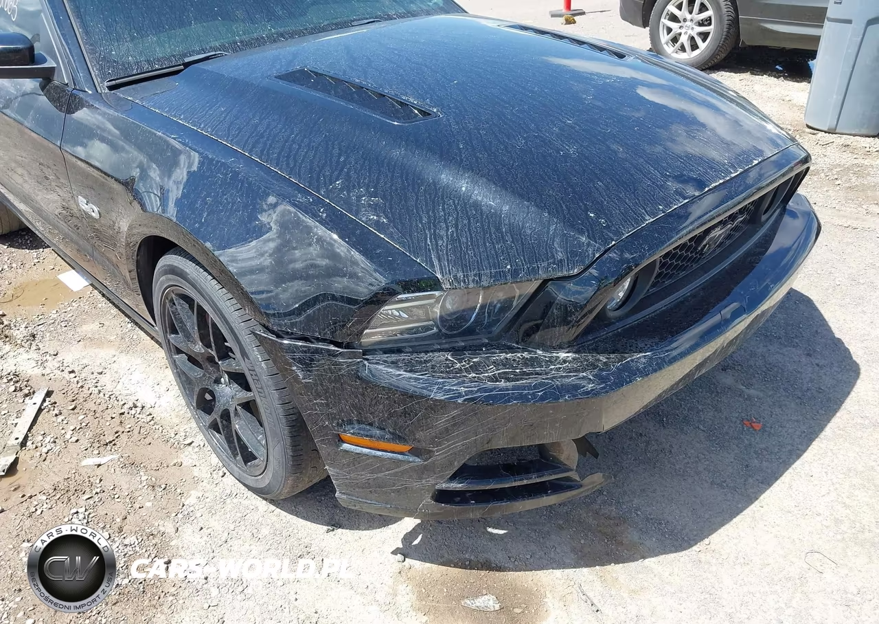 2013 Ford Mustang Gt Premium VIN:1ZVBP8CFXD5218892 - 18