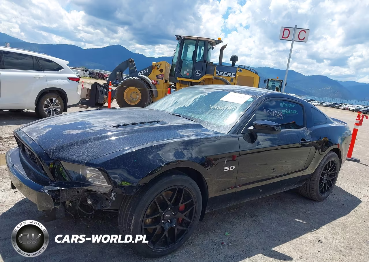 2013 Ford Mustang Gt Premium VIN:1ZVBP8CFXD5218892 - 2
