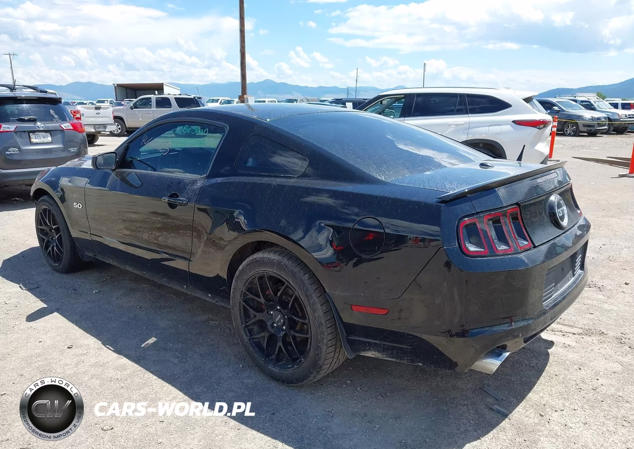 2013 Ford Mustang Gt Premium VIN:1ZVBP8CFXD5218892 - 3