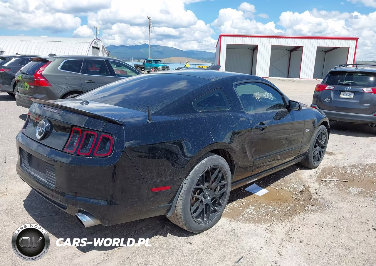 2013 Ford Mustang Gt Premium VIN:1ZVBP8CFXD5218892 - 4
