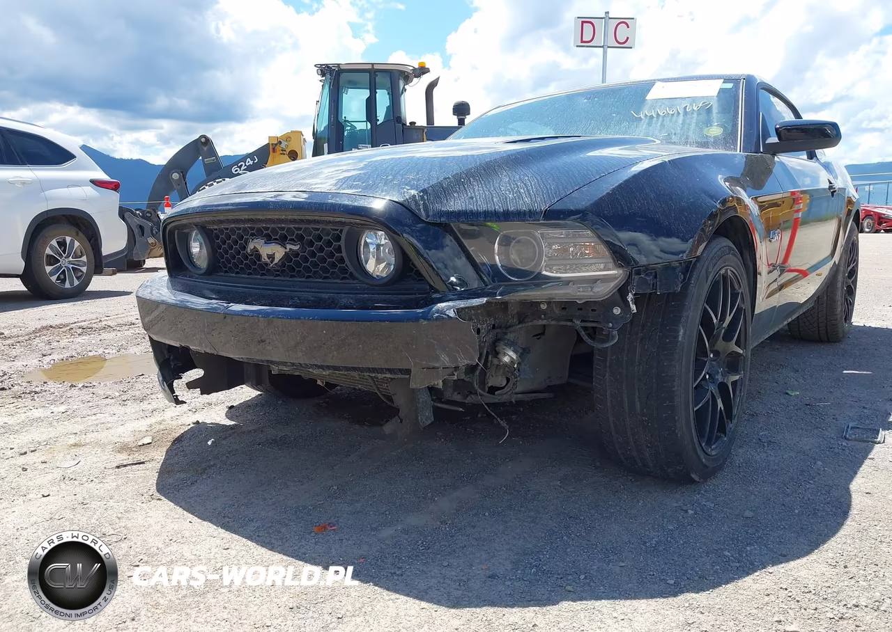 2013 Ford Mustang Gt Premium VIN:1ZVBP8CFXD5218892 - 6