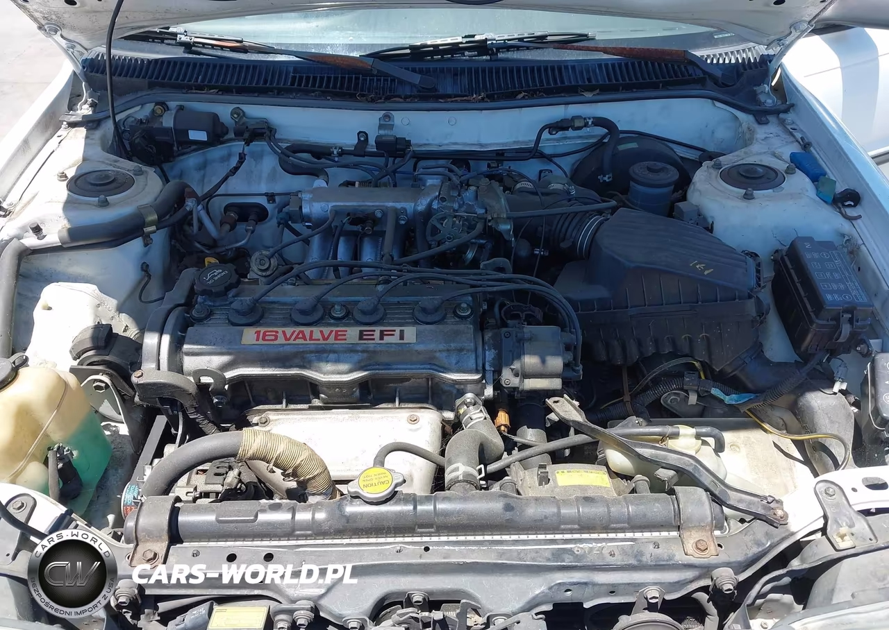 1990 Toyota Corolla Dlx VIN:1NXAE94A8LZ129500 - 10