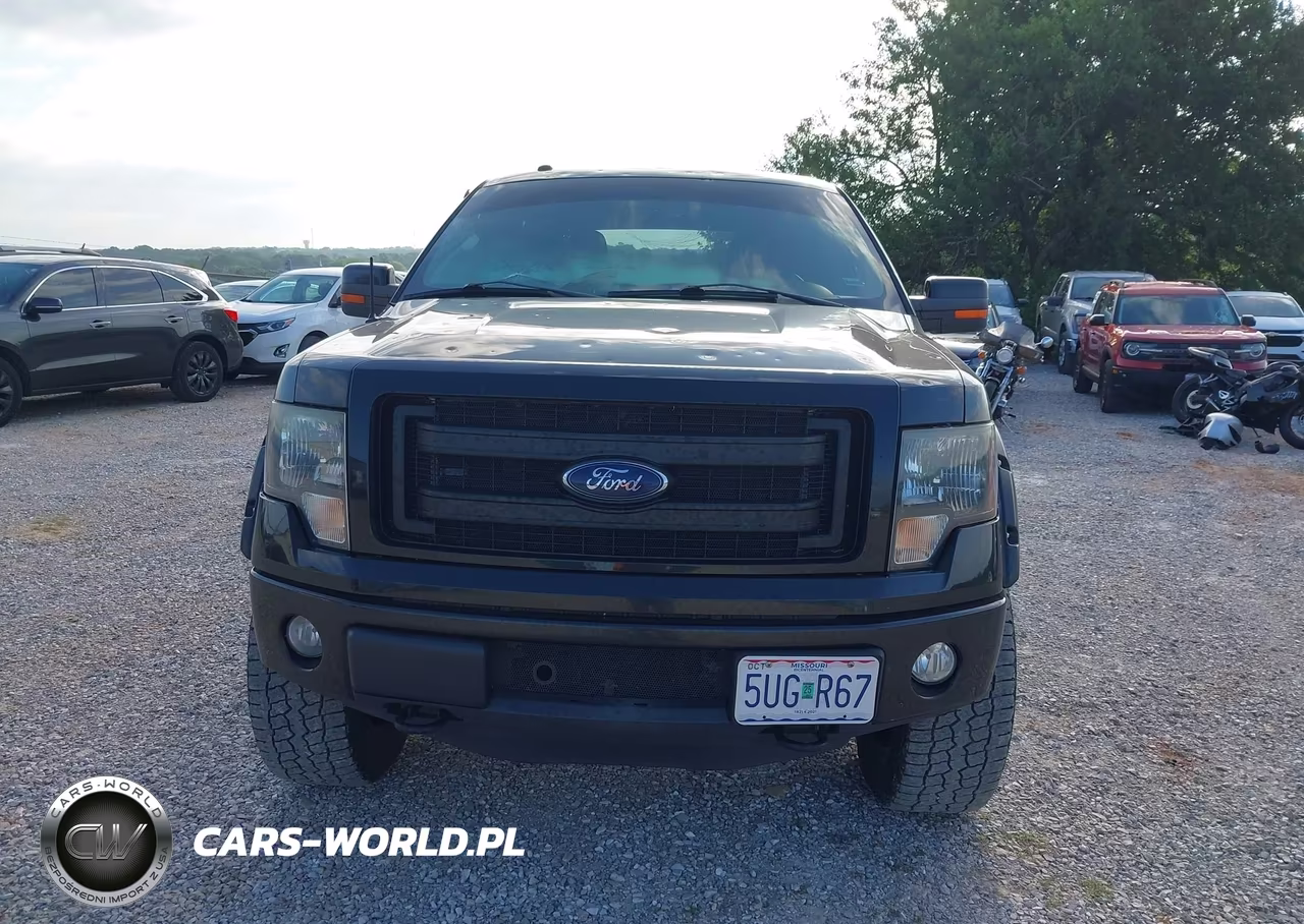 2013 Ford F-150 Fx4 VIN:1FTFW1ET3DFB47756 - 12