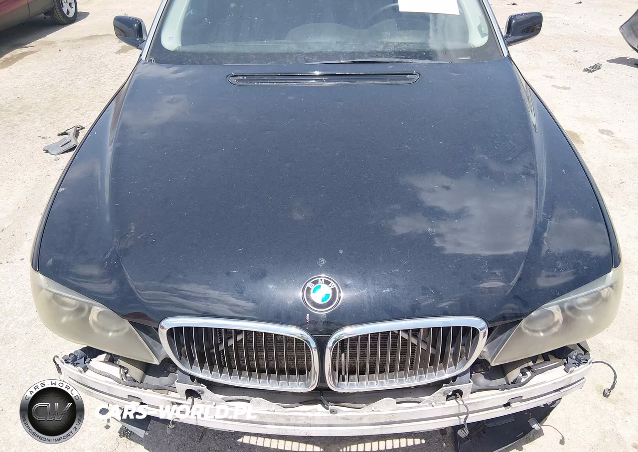 2006 BMW 750Li VIN:WBAHN83516DT63951 - 10