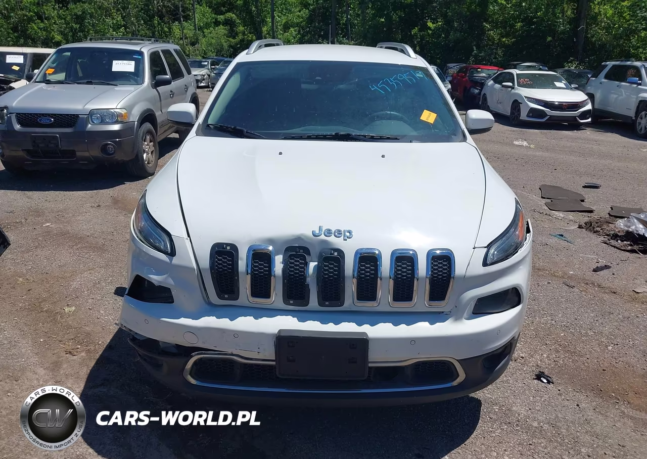 2014 Jeep Cherokee Limited VIN:1C4PJMDS5EW134392 - 12