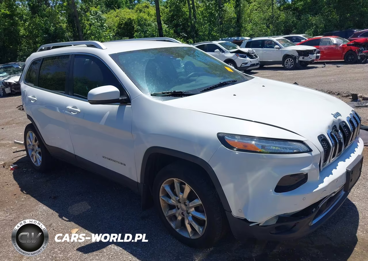 2014 Jeep Cherokee Limited VIN:1C4PJMDS5EW134392 - 13