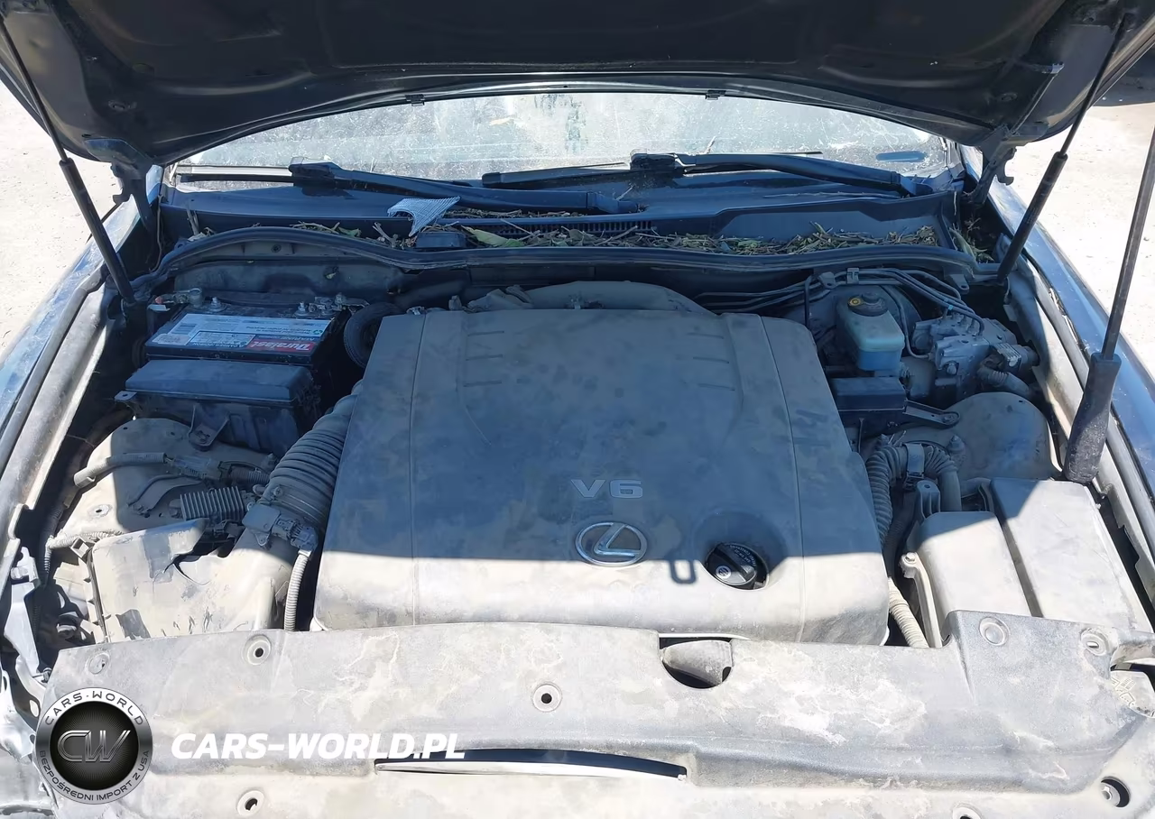 2006 Lexus Is 250 VIN:JTHCK262565004938 - 10