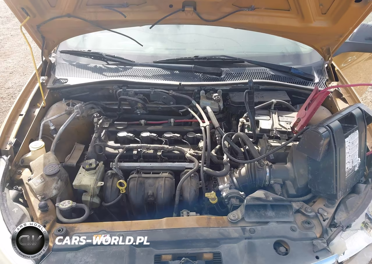 2009 Ford Focus Se VIN:1FAHP35N09W255333 - 10