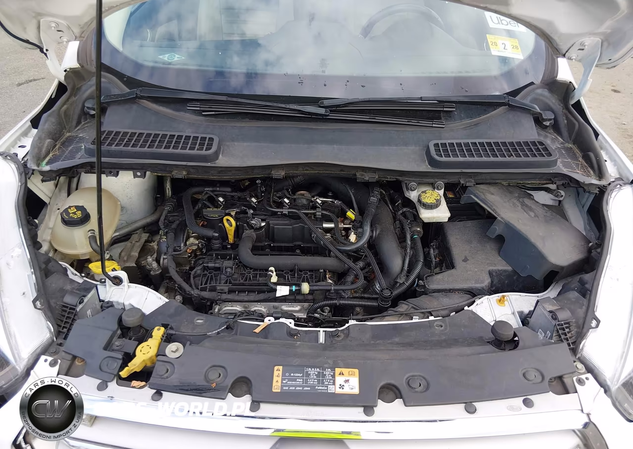 2019 Ford Escape VIN:1FMCU9HD2KUA66229 - 10