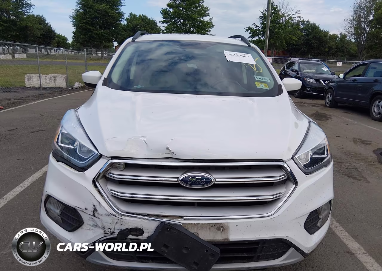 2019 Ford Escape VIN:1FMCU9HD2KUA66229 - 12