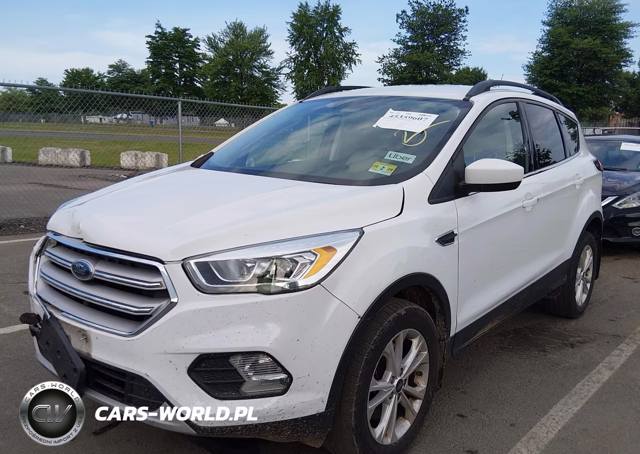 2019 Ford Escape VIN:1FMCU9HD2KUA66229 - 2