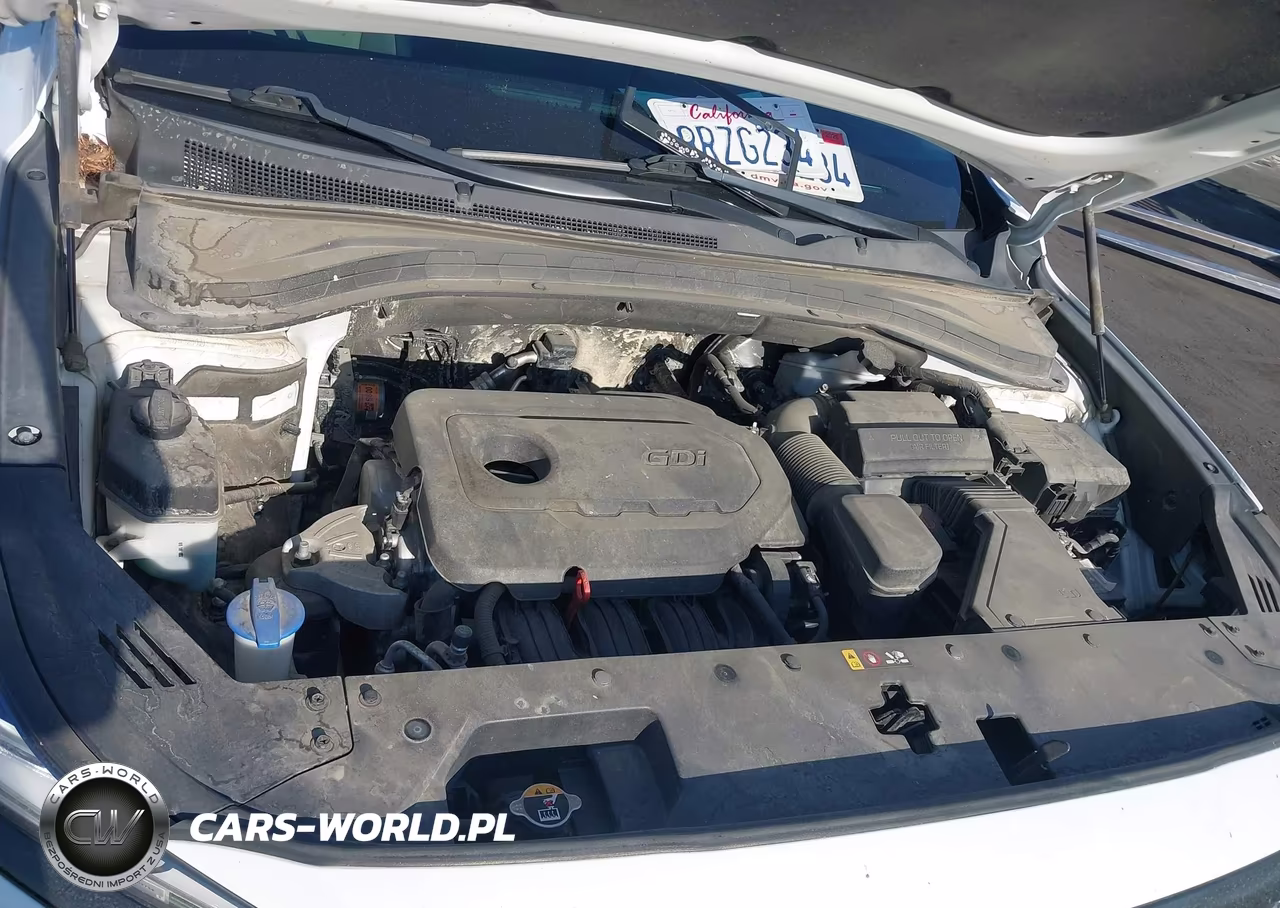 2020 Hyundai Santa Fe Limited VIN:5NMS53AD2LH235419 - 10