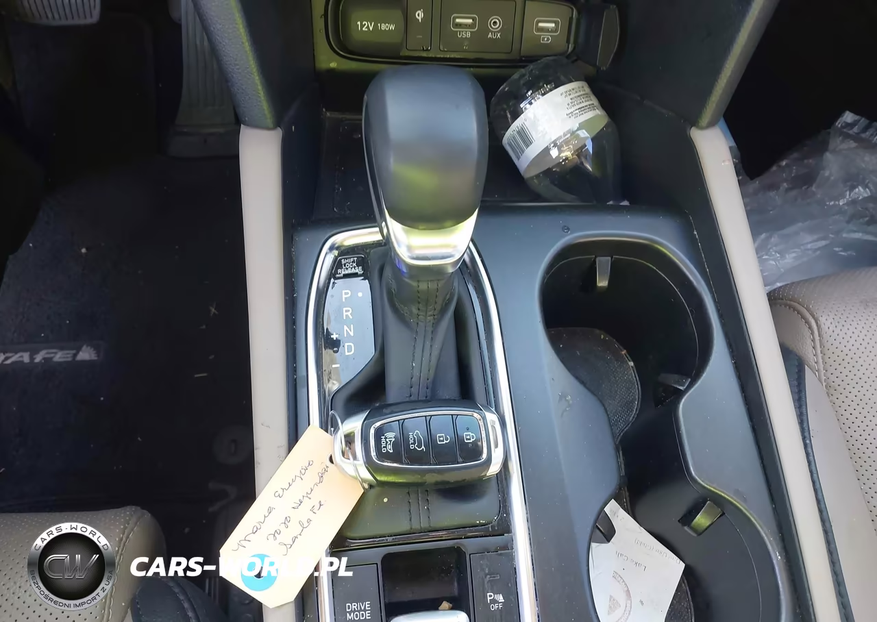 2020 Hyundai Santa Fe Limited VIN:5NMS53AD2LH235419 - 11