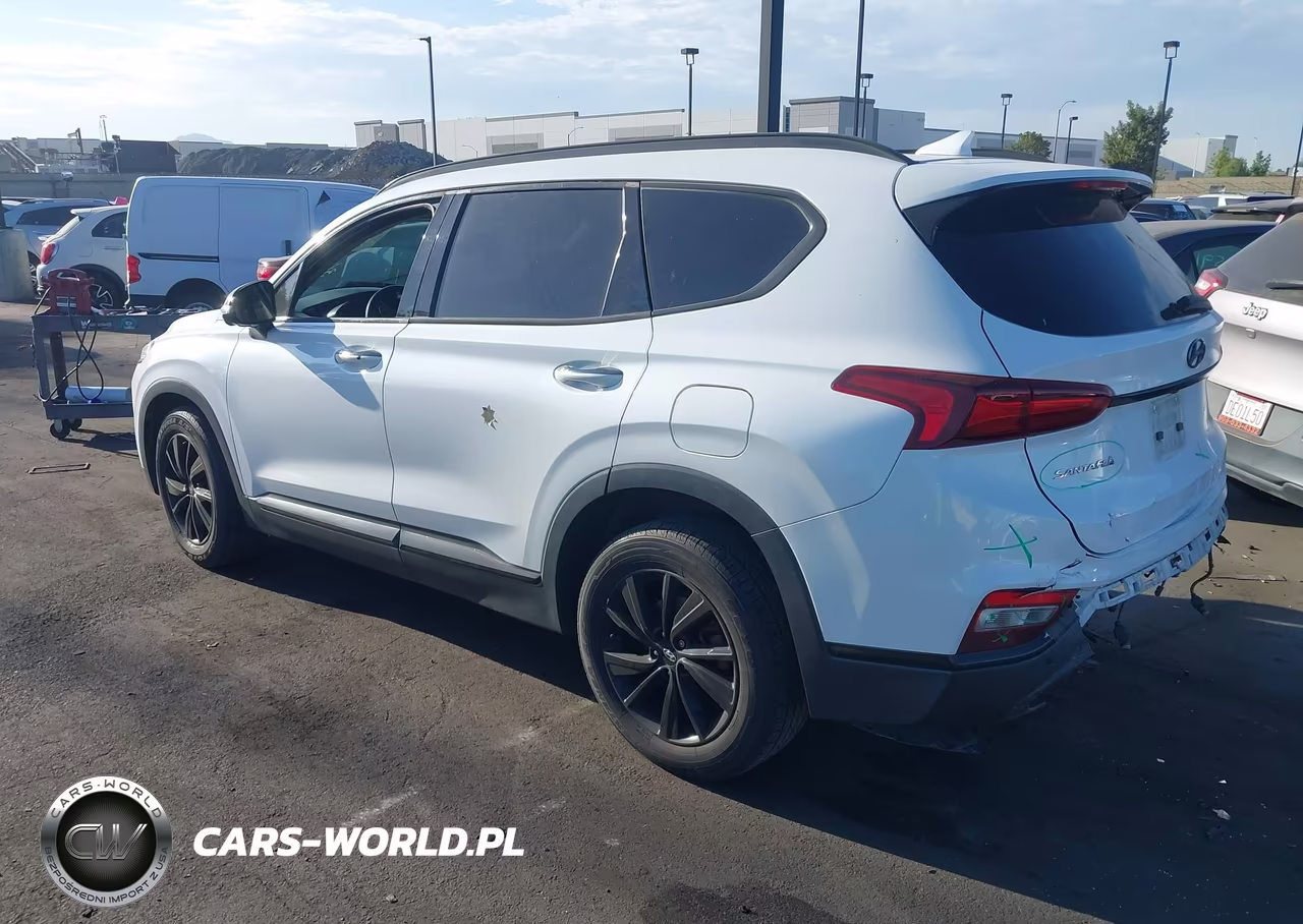 2020 Hyundai Santa Fe Limited VIN:5NMS53AD2LH235419 - 3