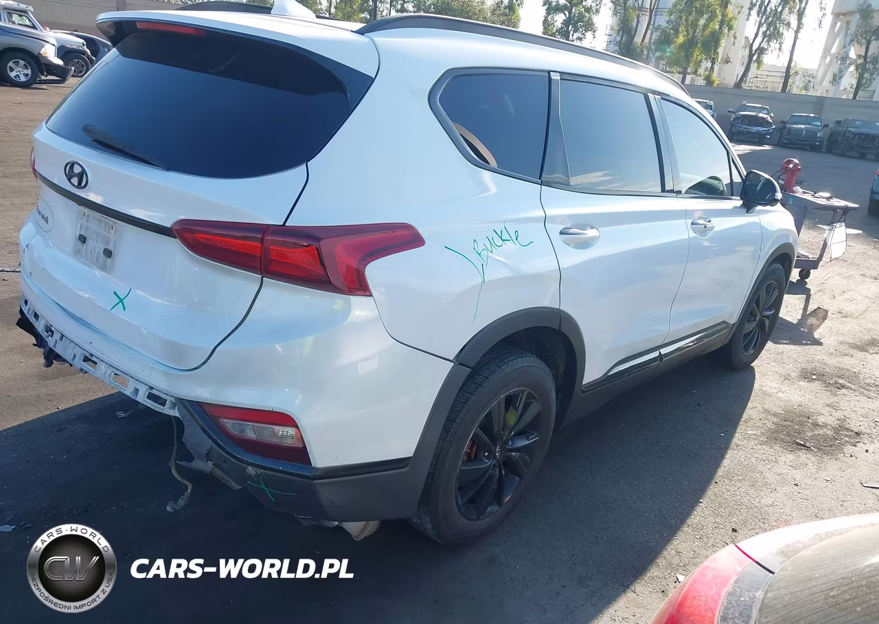 2020 Hyundai Santa Fe Limited VIN:5NMS53AD2LH235419 - 4