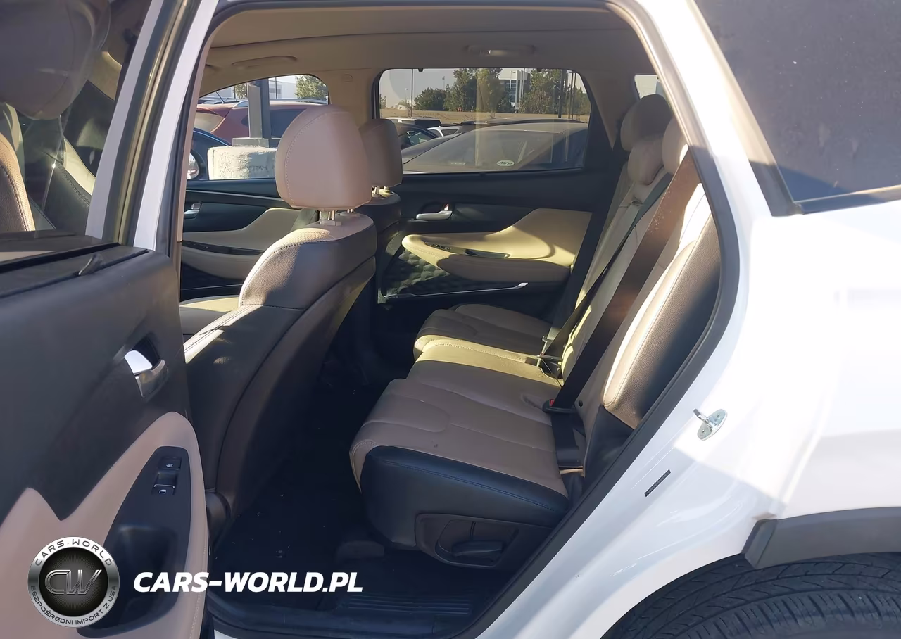 2020 Hyundai Santa Fe Limited VIN:5NMS53AD2LH235419 - 8