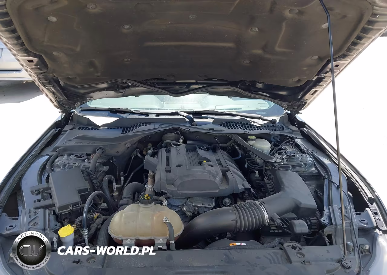2015 Ford Mustang Ecoboost VIN:1FA6P8TH1F5413245 - 10