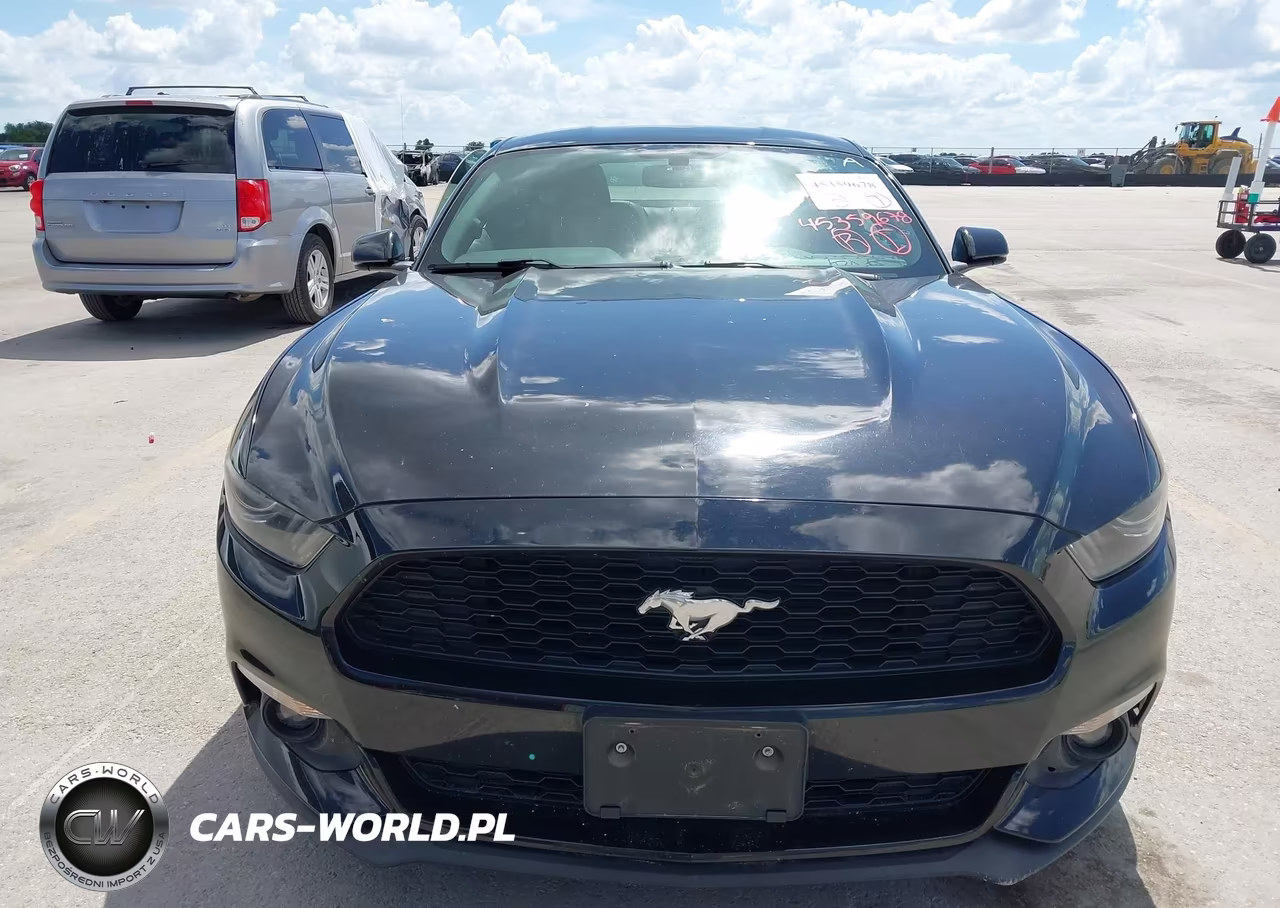 2015 Ford Mustang Ecoboost VIN:1FA6P8TH1F5413245 - 13