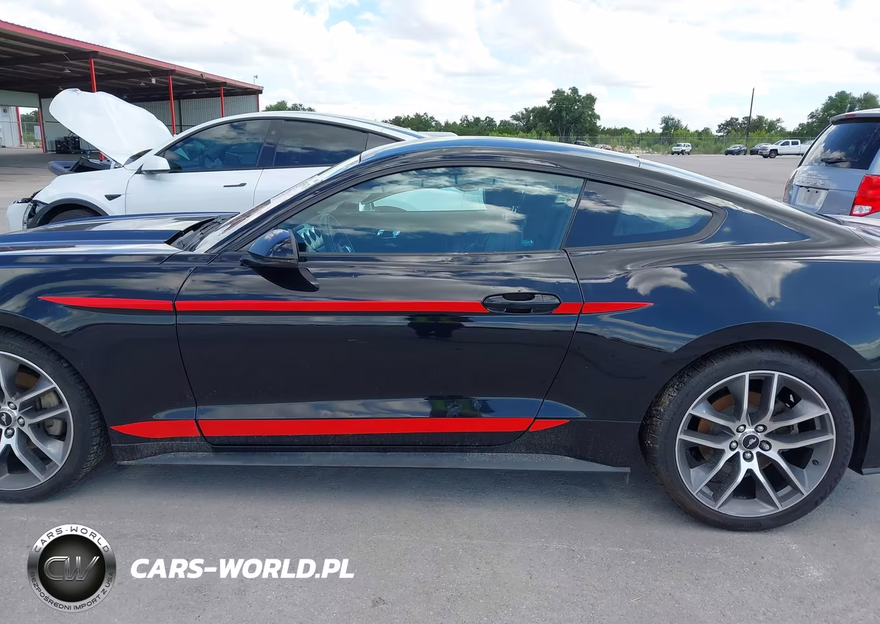 2015 Ford Mustang Ecoboost VIN:1FA6P8TH1F5413245 - 15