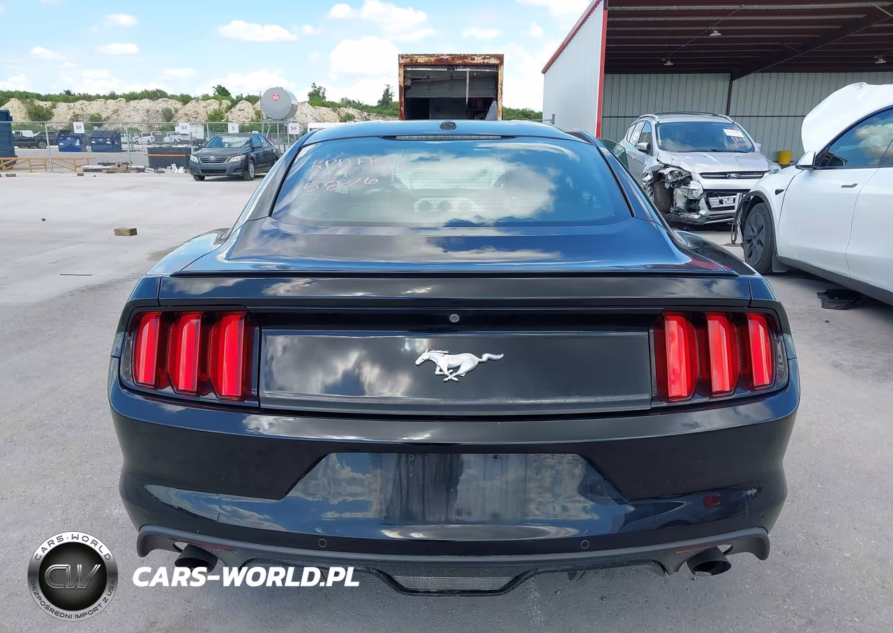 2015 Ford Mustang Ecoboost VIN:1FA6P8TH1F5413245 - 17