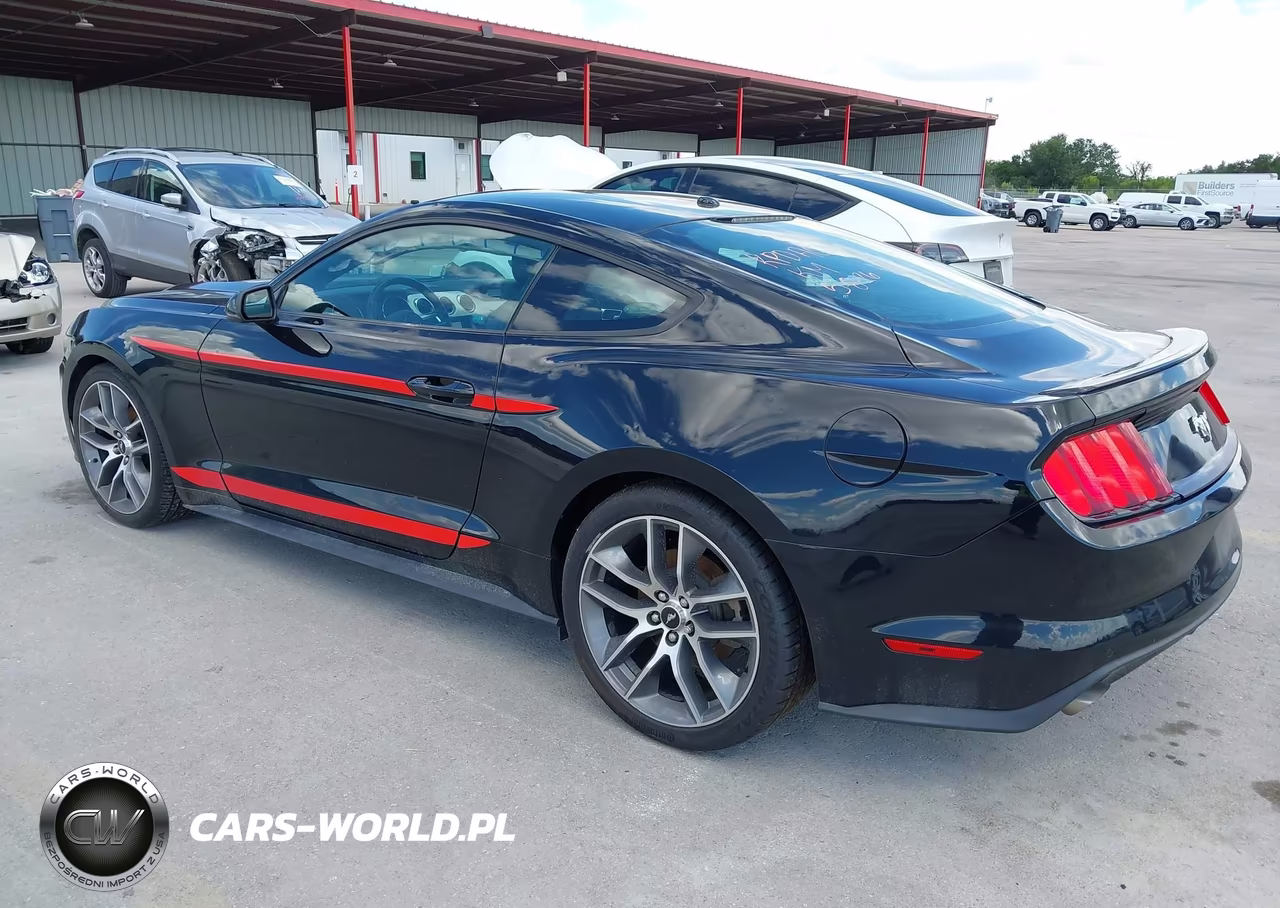 2015 Ford Mustang Ecoboost VIN:1FA6P8TH1F5413245 - 3