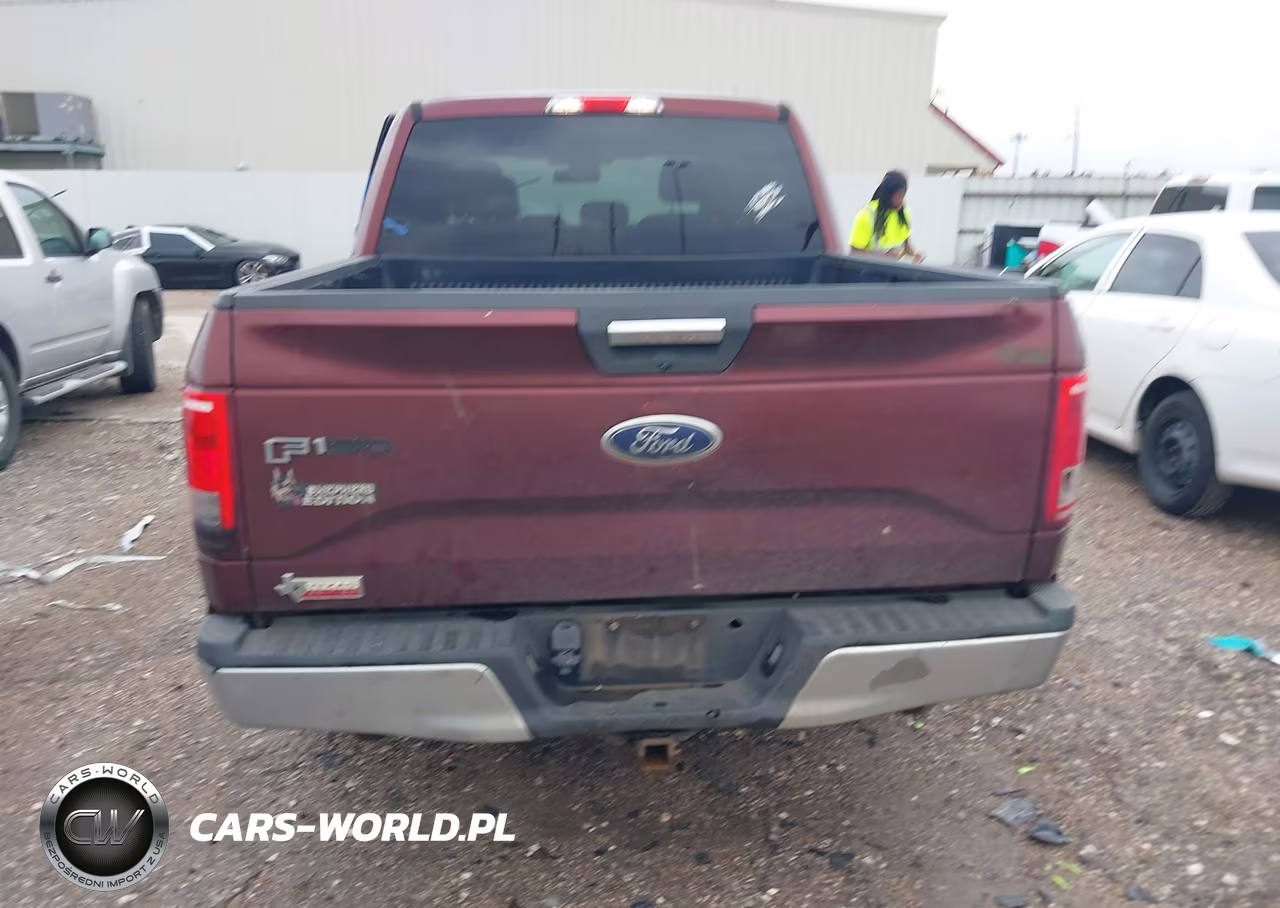 2016 Ford F-150 Xlt VIN:1FTEW1CP4GKE30017 - 17