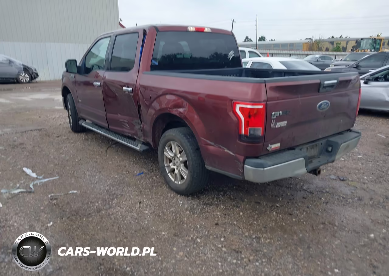2016 Ford F-150 Xlt VIN:1FTEW1CP4GKE30017 - 3