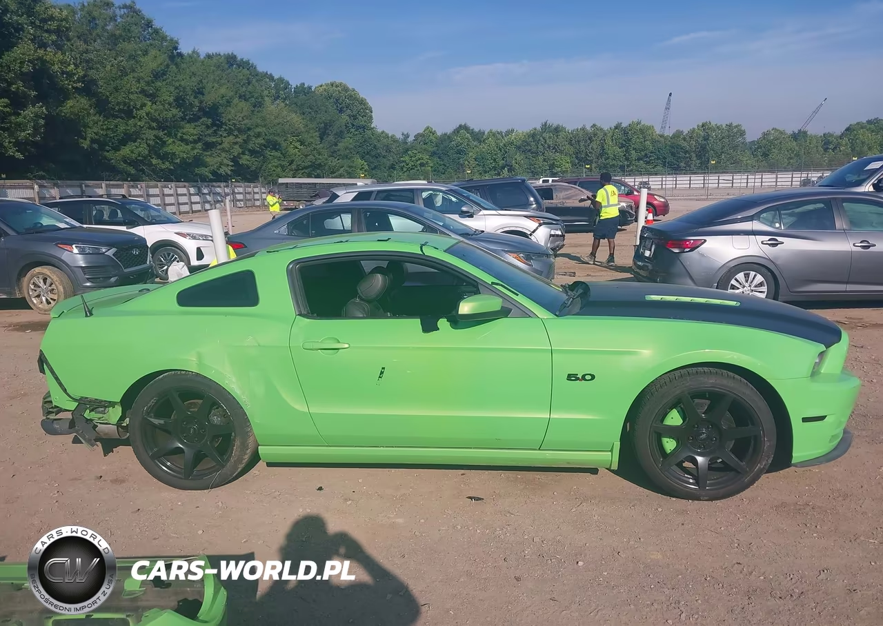 2014 Ford Mustang Gt Premium VIN:1ZVBP8CF3E5256076 - 13