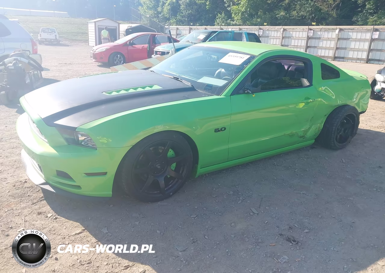 2014 Ford Mustang Gt Premium VIN:1ZVBP8CF3E5256076 - 2
