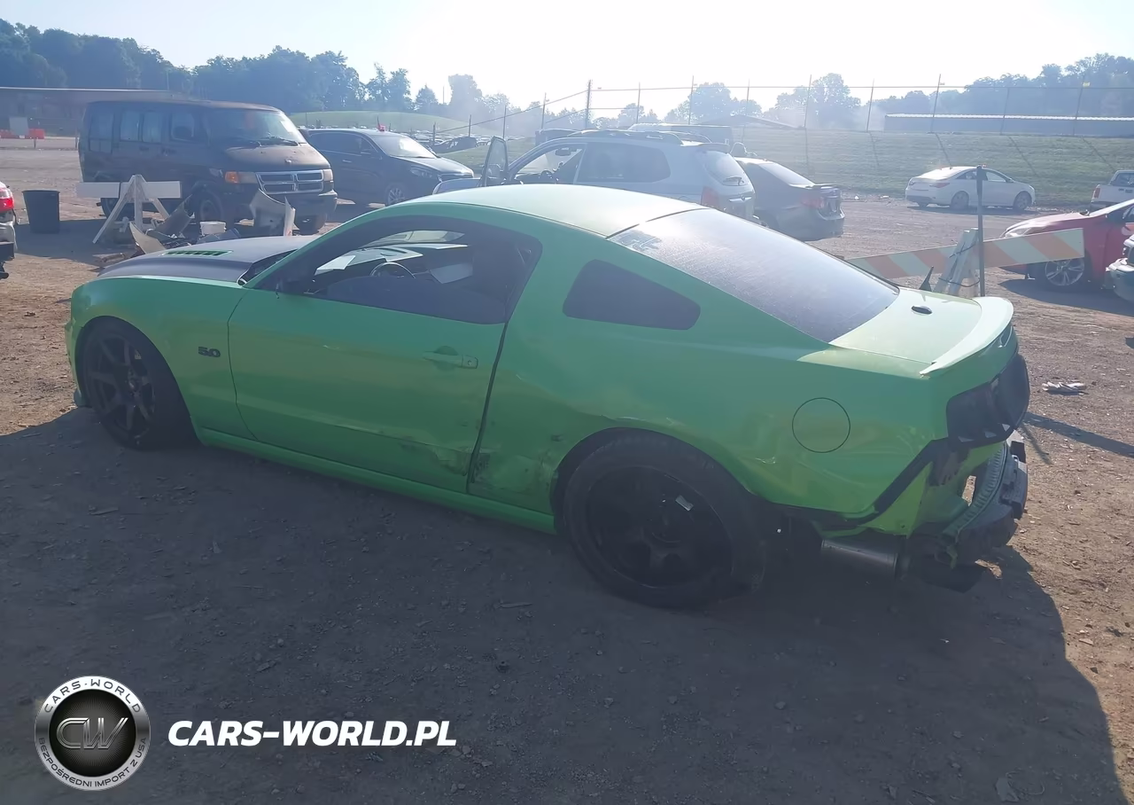 2014 Ford Mustang Gt Premium VIN:1ZVBP8CF3E5256076 - 3