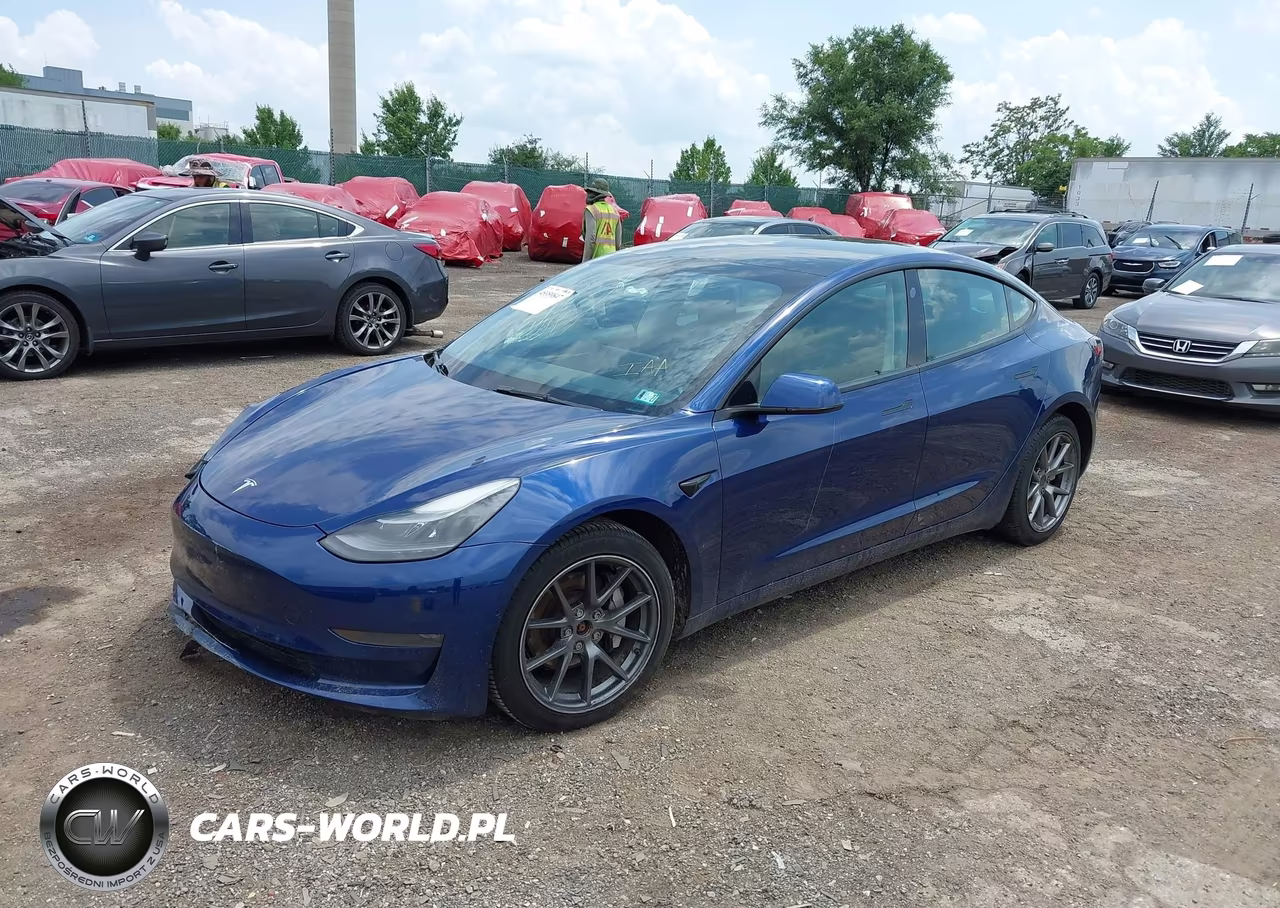 2022 Tesla Model 3 Long Range Dual Motor All-Wheel Drive VIN:5YJ3E1EB6NF103432 - 2