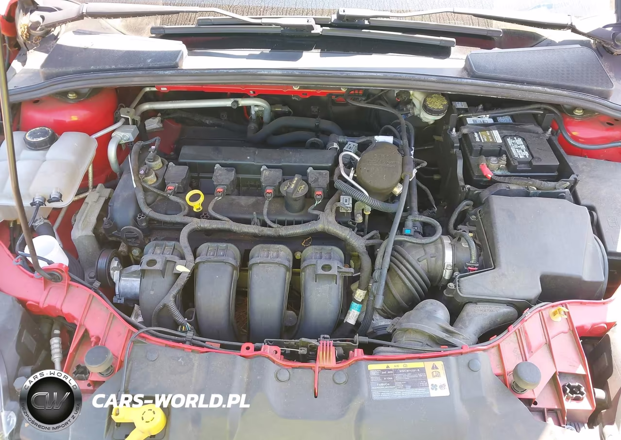 2013 Ford Focus Se VIN:1FADP3K21DL338496 - 10