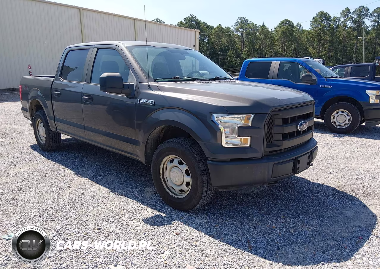 2017 Ford F-150 Xl-Xlt – zdjęcie 1 z 16