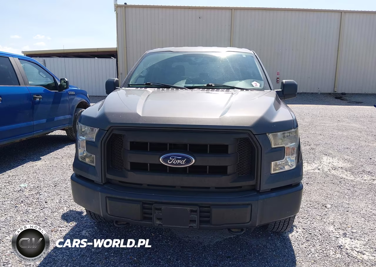 2017 Ford F-150 Xl-Xlt VIN:1FTEW1E8XHKD49689 - 12