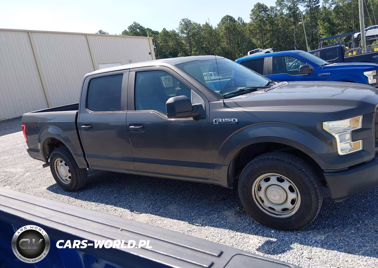 2017 Ford F-150 Xl-Xlt VIN:1FTEW1E8XHKD49689 - 13