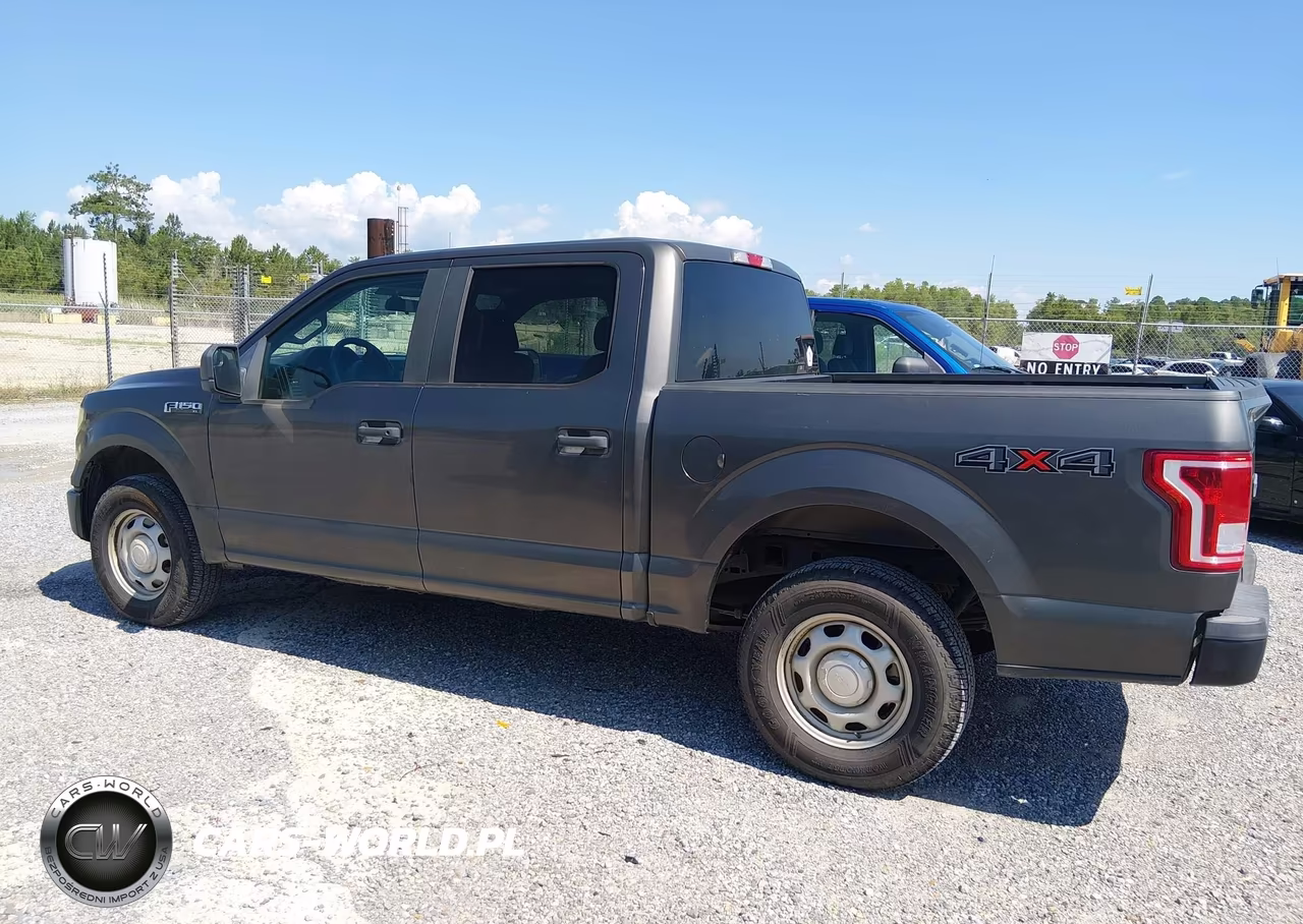 2017 Ford F-150 Xl-Xlt VIN:1FTEW1E8XHKD49689 - 14
