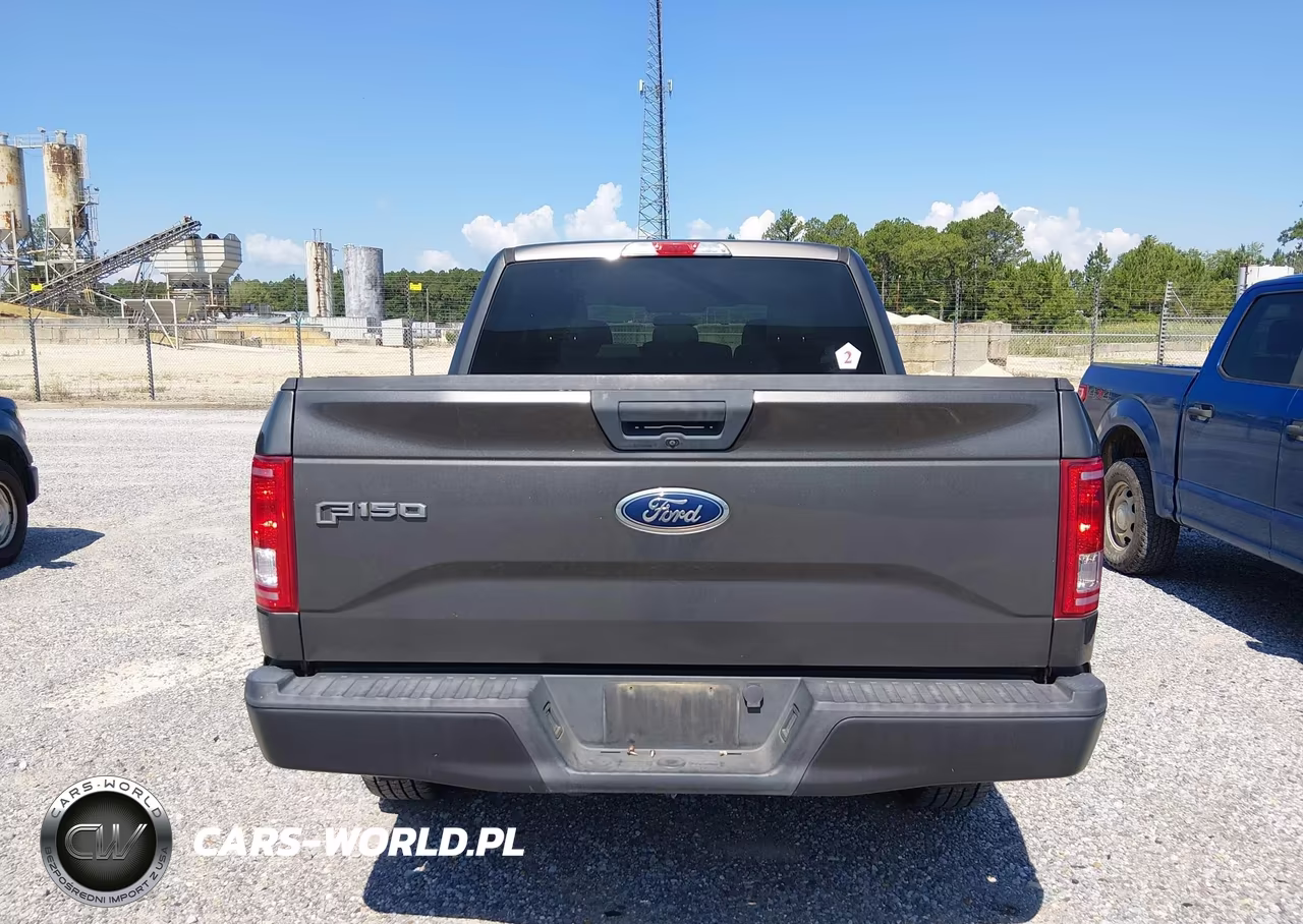 2017 Ford F-150 Xl-Xlt VIN:1FTEW1E8XHKD49689 - 16