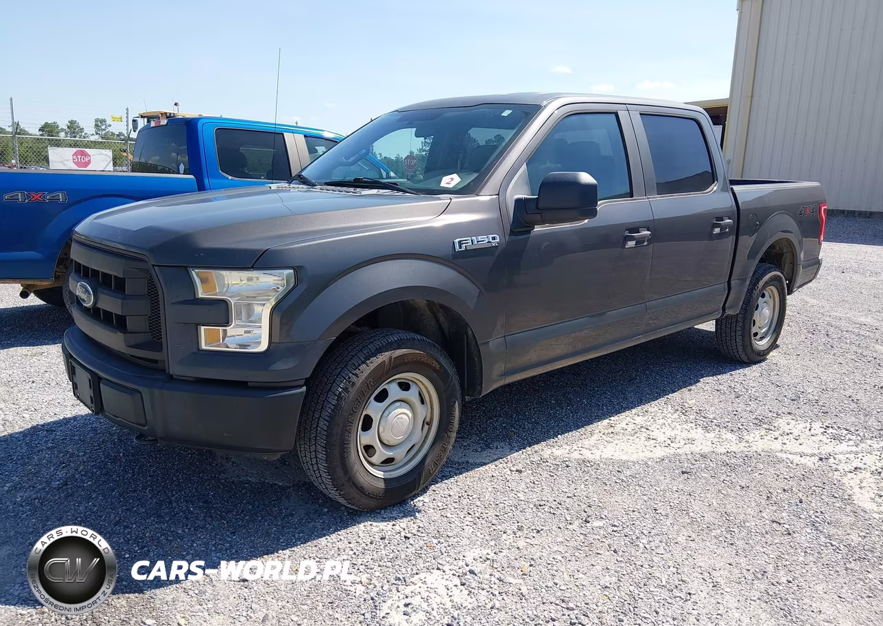 2017 Ford F-150 Xl-Xlt VIN:1FTEW1E8XHKD49689 - 2