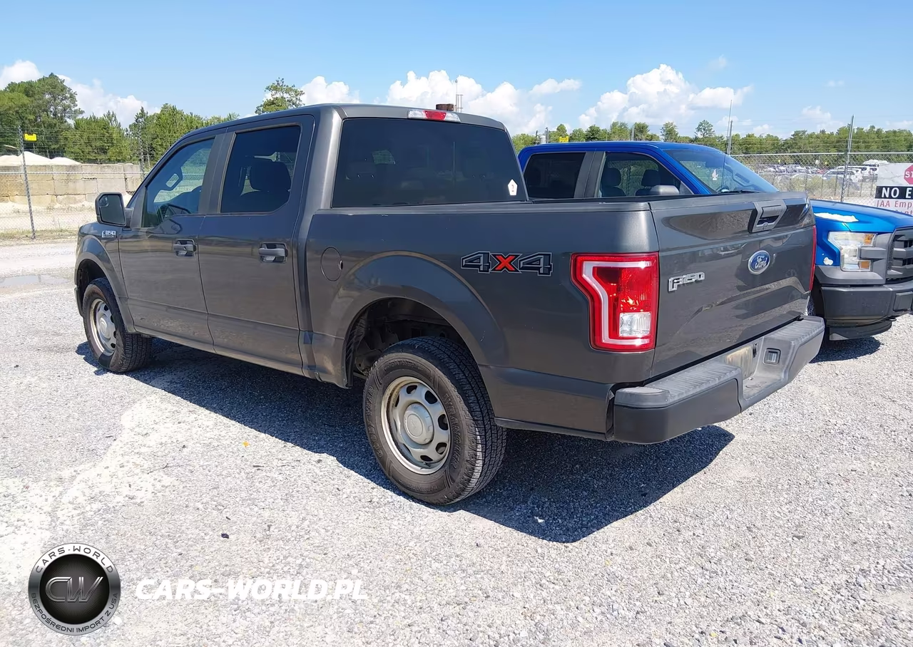 2017 Ford F-150 Xl-Xlt VIN:1FTEW1E8XHKD49689 - 3