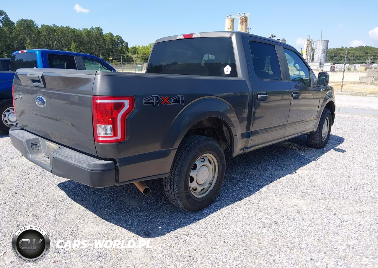 2017 Ford F-150 Xl-Xlt VIN:1FTEW1E8XHKD49689 - 4