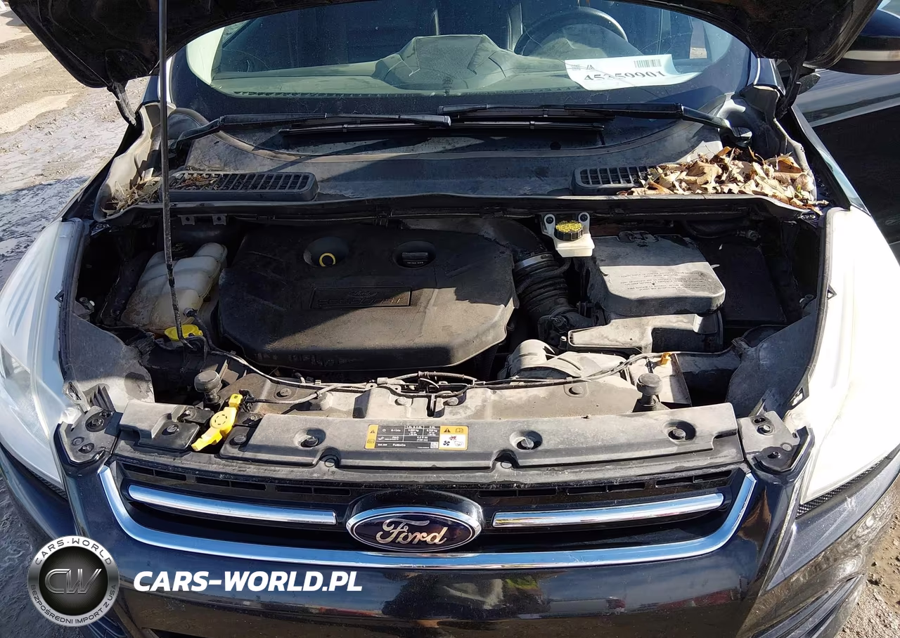 2014 Ford Escape Titanium VIN:1FMCU0J96EUD24502 - 10
