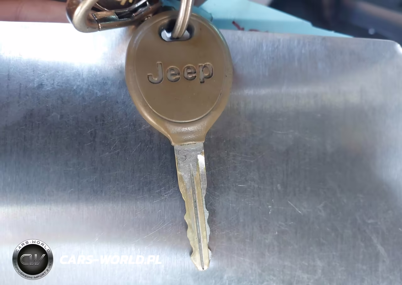 2009 Jeep Wrangler Unlimited X VIN:1J4GA39189L768243 - 11