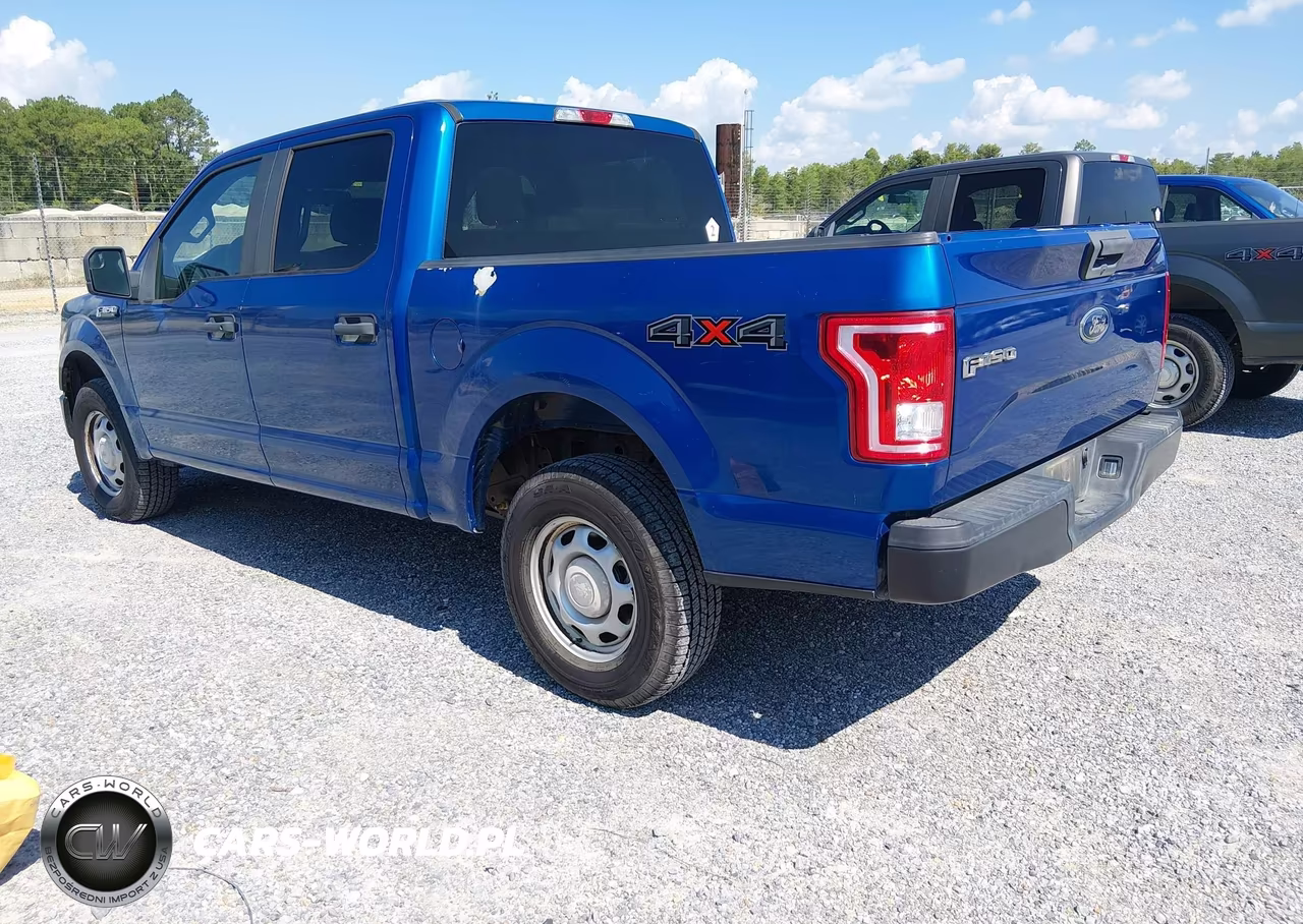 2017 Ford F-150 Xl VIN:1FTEW1E88HKD49688 - 3