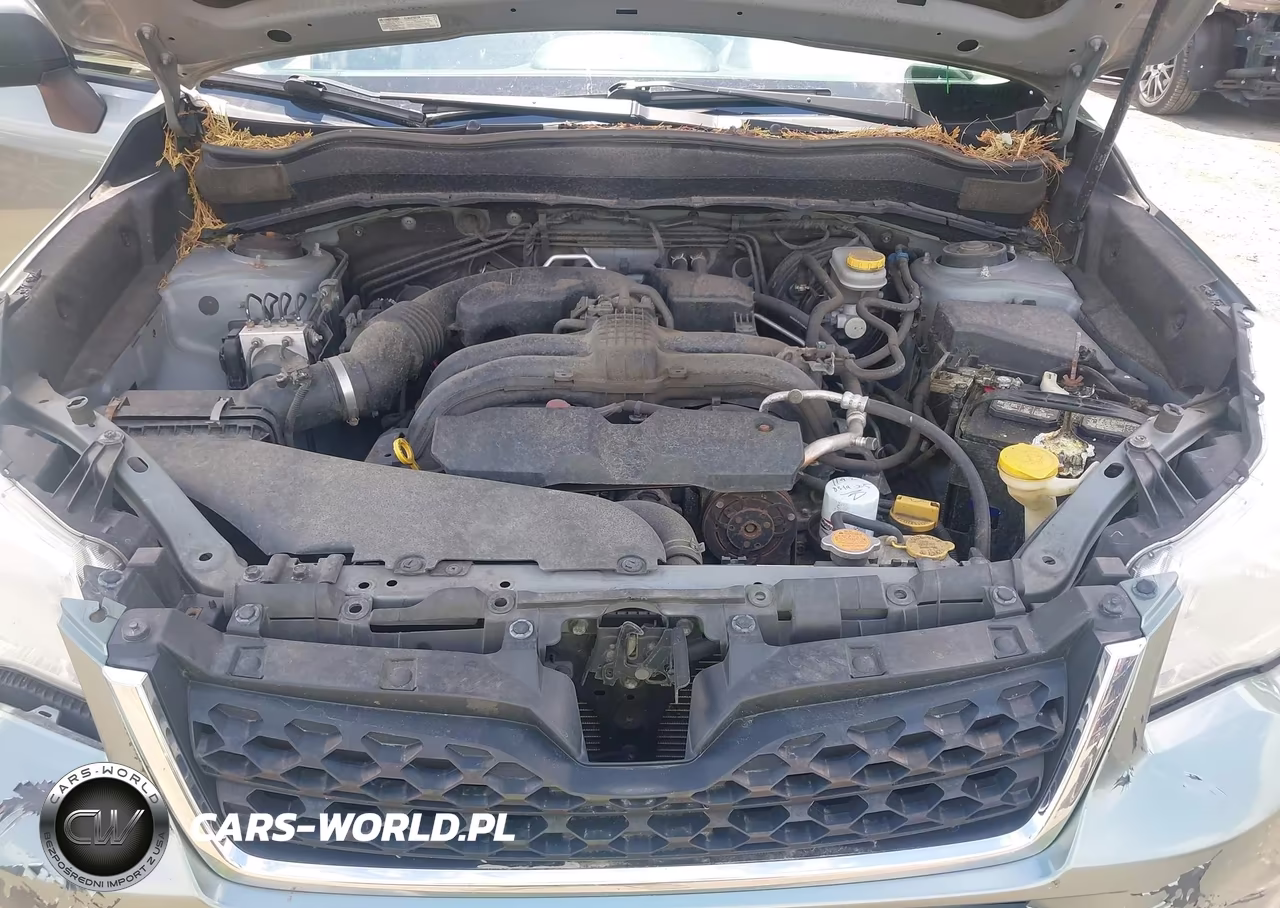 2014 Subaru Forester 2.5I VIN:JF2SJAAC4EH408855 - 10