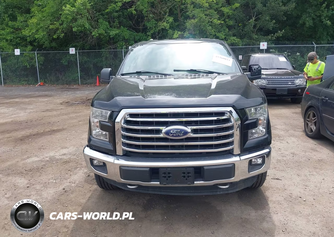 2016 Ford F-150 Xlt VIN:1FTEW1EGXGKE03806 - 13