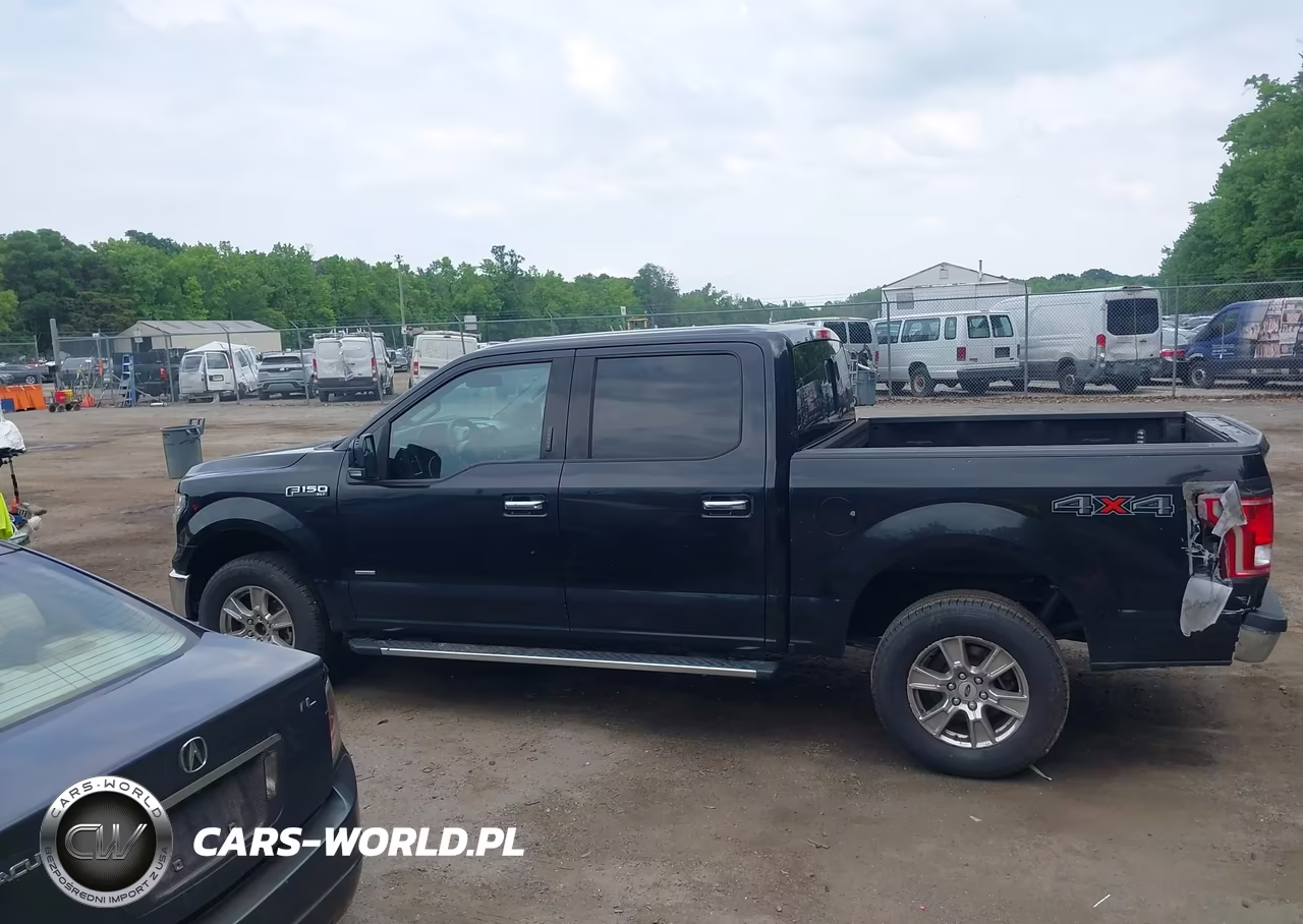 2016 Ford F-150 Xlt VIN:1FTEW1EGXGKE03806 - 15