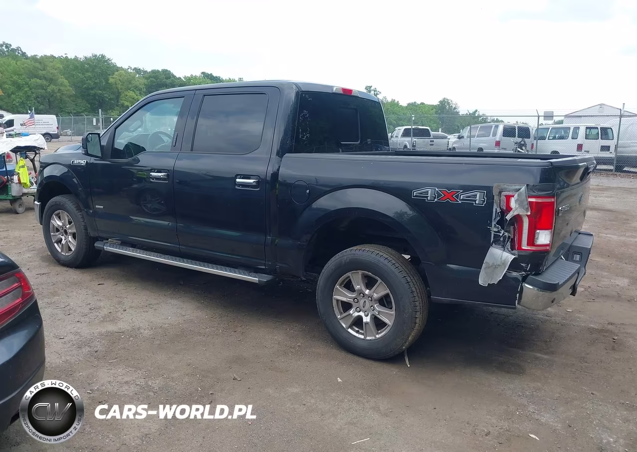 2016 Ford F-150 Xlt VIN:1FTEW1EGXGKE03806 - 3