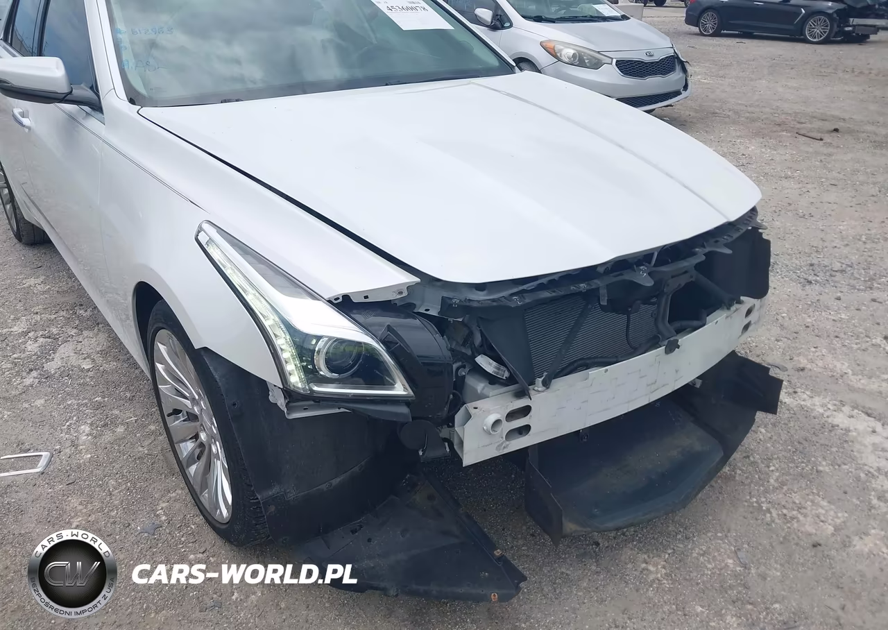 2015 Cadillac Cts Luxury VIN:1G6AR5S31F0125146 - 19